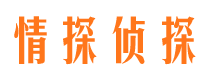 佛山市私家侦探